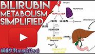 Bilirubin Metabolism Simplified