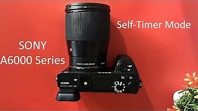 How to Set Self-Timer Mode on Sony A6500, A6400, A6300, A6000, OR A7III Mirrorless