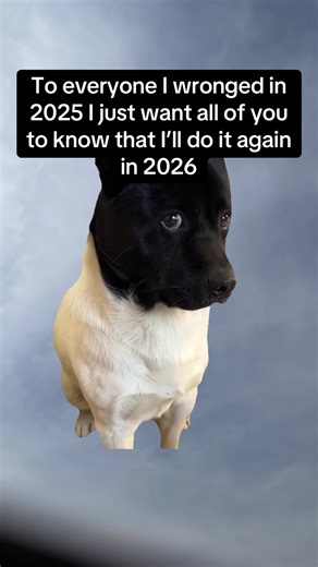 Memes for 2026: Hurting Feelings with Humor