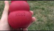 Kong Classic Dog Toy Review