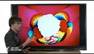 Samsung PN64F8500 64-inch Plasma 1080p 3D HDTV : Samsung at Abt Electronics
