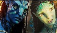 Uncovering the Unique Traits of the Omaticaya and Metkayina Na'vi Clans in AVATAR