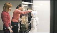 Robots at the National Museum of Scotland: Visitors' views