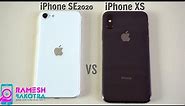 iPhone SE 2020 vs iPhone XS SpeedTest and Camera Comparison
