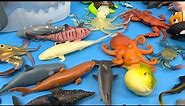 Toy Sea Animals Unboxing