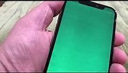 iPhone x water damage and green screen