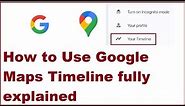 How to Use Google Maps Timeline fully explained
