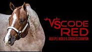 VS Code Red: 2007 Red Roan AQHA Stallion