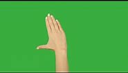 Free Hand Gestures Green Screen / TOP VIDEO 2022