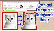 HOW TO DOWNLOAD IMAGE WITH TRANSPARENT BACKGROUND | THE RIGHT WAY