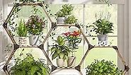 Tikea Plant Stand Indoor Outdoor Hexagonal Plant Stand for Multiple Plants Indoor Large Wooden Plant Shelf 7 Tiered Creative DIY Flowers Stand Rack for Living Room Balcony Patio Window