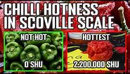 Scoville Scale Explained : The Measurement Of Chilli Pepper Hotness
