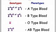Blood Types and Punnett Squares