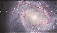 Hubble Showcases Star Birth in M83, the Southern Pinwheel