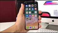 How to Disable / Turn OFF TalkBack on a Apple iPhone X