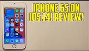 iPhone 6s On iOS 14 Beta 1! Review (FAST!) (2020!)