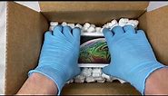 used iPhone Xs Max unboxing ASMR