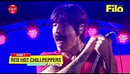 Red Hot Chili Peppers - Live @ Lollapalooza Argentina 2018 Full show
