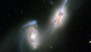 Space mice! 🐁 This colliding pair of spiral galaxies is nicknamed “The Mice” because of the long tails of stars and gas emanating from each galaxy. Otherwise called NGC 4676, this pair will eventually merge into a single giant galaxy. NGC 4676 is located about 300 million light-years away in the constellation Coma Berenices. Music credit: “Ice Peaks,” Thomas Daniel Bellingham [PRS], Ninja Tune Production Music, Universal Production Music #NASA #Hubble #space #galaxy #stars #astronomy #universe 