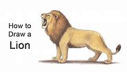 How to Draw a Lion Roaring (Color)