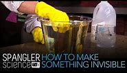 How To Make Something Invisible - Cool Science Experiment