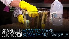 How To Make Something Invisible - Cool Science Experiment