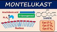 Montelukast (Singulair) - Mechanism, side effects and uses