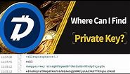 How To Get Wallet Private Key Of Digibyte Core Wallet | Wallet Tutorial