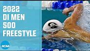 Men's 500 freestyle | 2022 NCAA swimming championships