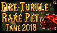 Tame Rare Fire Turtle Terrorpene - Hunters Guide 2018 | World of Warcraft