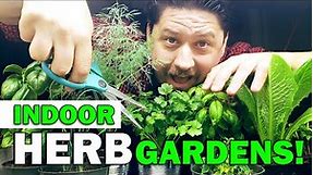Indoor Herb Gardens - The Definitive Guide For Beginners