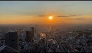 Shibuya Sky vs Tokyo Metropolitan Government Building Observation Decks - Which is Better?