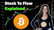Bitcoin Stock-To-Flow Model Explained by Natalie Brunell