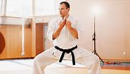 13 Main Karate Styles and Their Differences - The Karate Blog