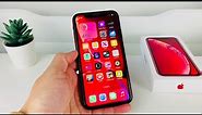 iPhone XR Worth It in 2023 (Review)