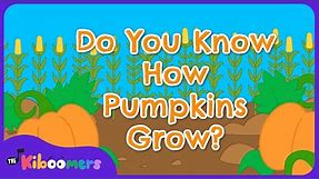 Do You Know How Pumpkins Grow - The Kiboomers Preschool Songs - Fall Circle Time Song