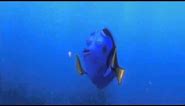 Finding Nemo: I'll Call Him Squishy Scene [HD]