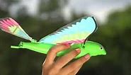 My Fly Birdie- Wind up Flapping Bird Toy for kids
