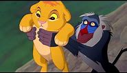 Simba's Birth Scene - Circle of Life - The Lion King (1994) Movie Clip HD