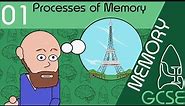 Processes of memory - Memory, GCSE Psychology [AQA]