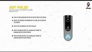 ADT Pulse DBC835 HD DoorBell Camera - Features, Installation, and Setup