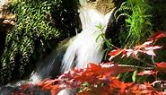 Zen Garden Waterfalls- Relaxation, Meditation, Mindfulness, Healing,