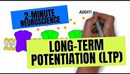 2-Minute Neuroscience: Long-Term Potentiation (LTP)