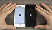 iPhone SE vs. iPhone 5 - Speed Test!