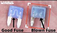Blown Fuse? How to Test Your Fuses.