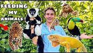 FEEDING all THE EXOTIC ANIMALS at MY ZOO !