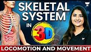 Skeletal System in 3D | Locomotion and Movement | NEET 2024 | Seep Pahuja