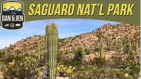 Cactus, Cacti and Cactuses🌵Saguaro National Park - Tucson, Arizona