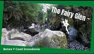 The Fairy Glen Betws Y Coed Walk | Outdoor River Cooking On Rocks | Snowdonia Wales | Bushbox XL