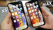 iPhone XS or iPhone XS Max? Which to Get?